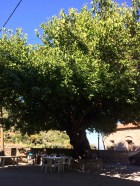 Upper Milia Village Square